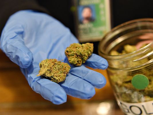 Colorado Schools Win Marijuana Taxes